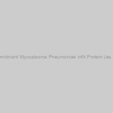 Image of Recombinant Mycoplasma Pneumoniae infA Protein (aa.1-78)
